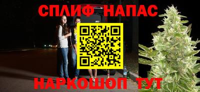 прущие грибы Аргун