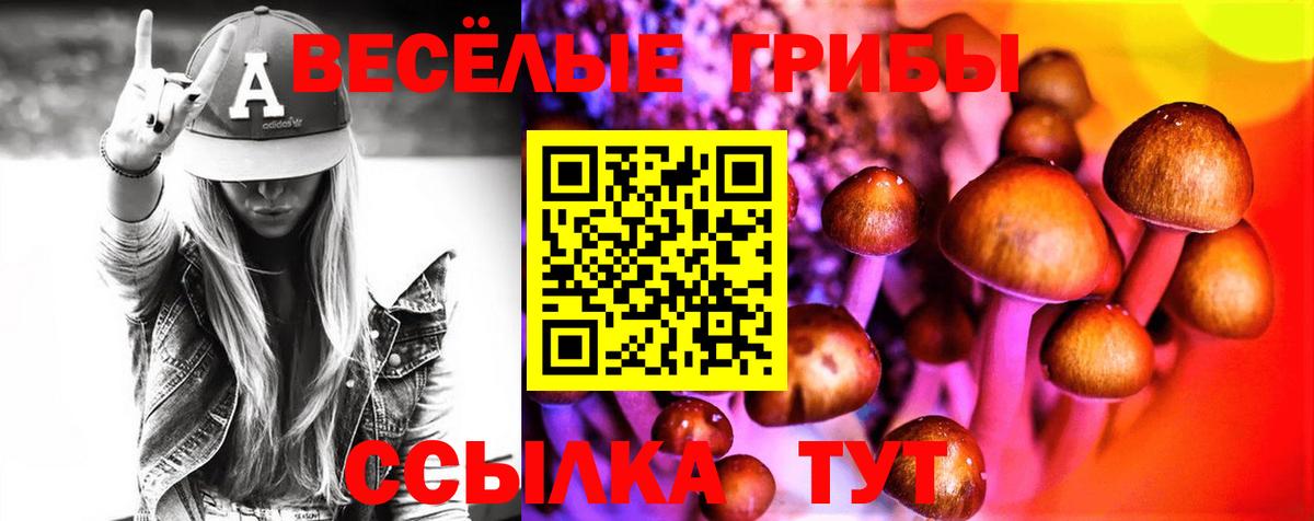 Псилоцибиновые грибы MAGIC MUSHROOMS Бердск